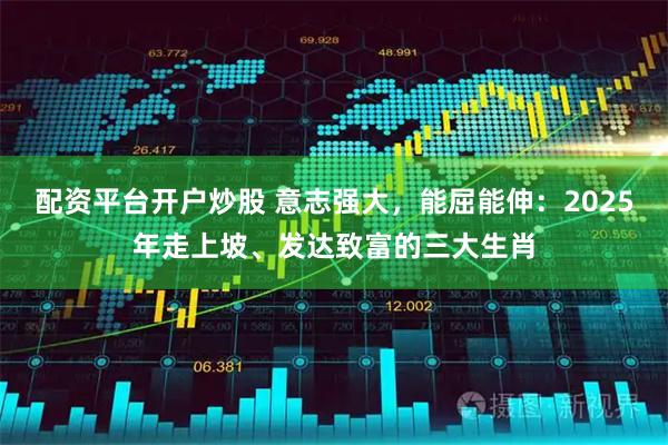 配资平台开户炒股 意志强大，能屈能伸：2025年走上坡、发达致富的三大生肖